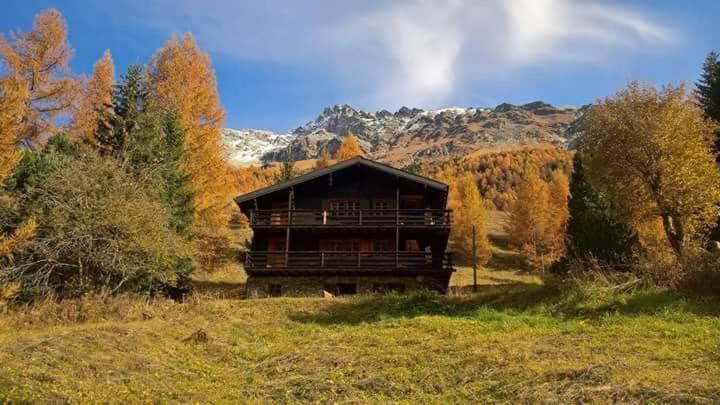 شقة Chalet Singlinaz زينل المظهر الخارجي الصورة