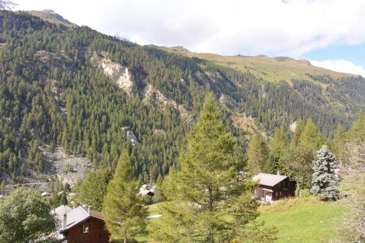 Chalet Singlinaz زينل المظهر الخارجي الصورة